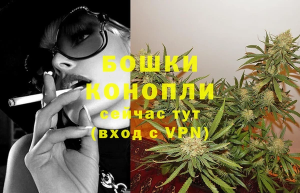 PSILOCYBIN Богородицк