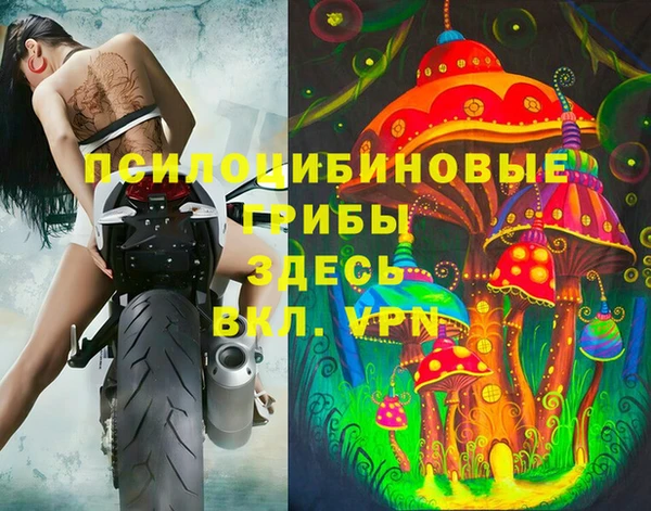 a pvp Богданович