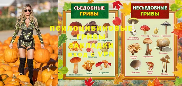 PSILOCYBIN Богородицк